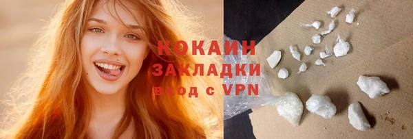 прущие грибы Волосово