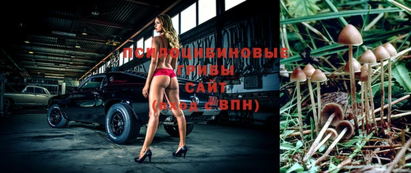 прущие грибы Волосово