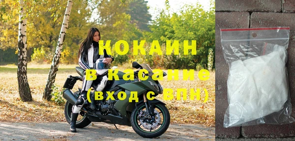 прущие грибы Волосово