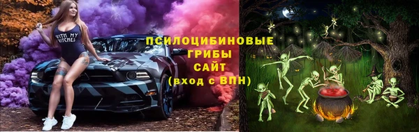 соль ск Вязники