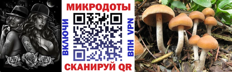 наркошоп  Воркута  Галлюциногенные грибы мицелий 