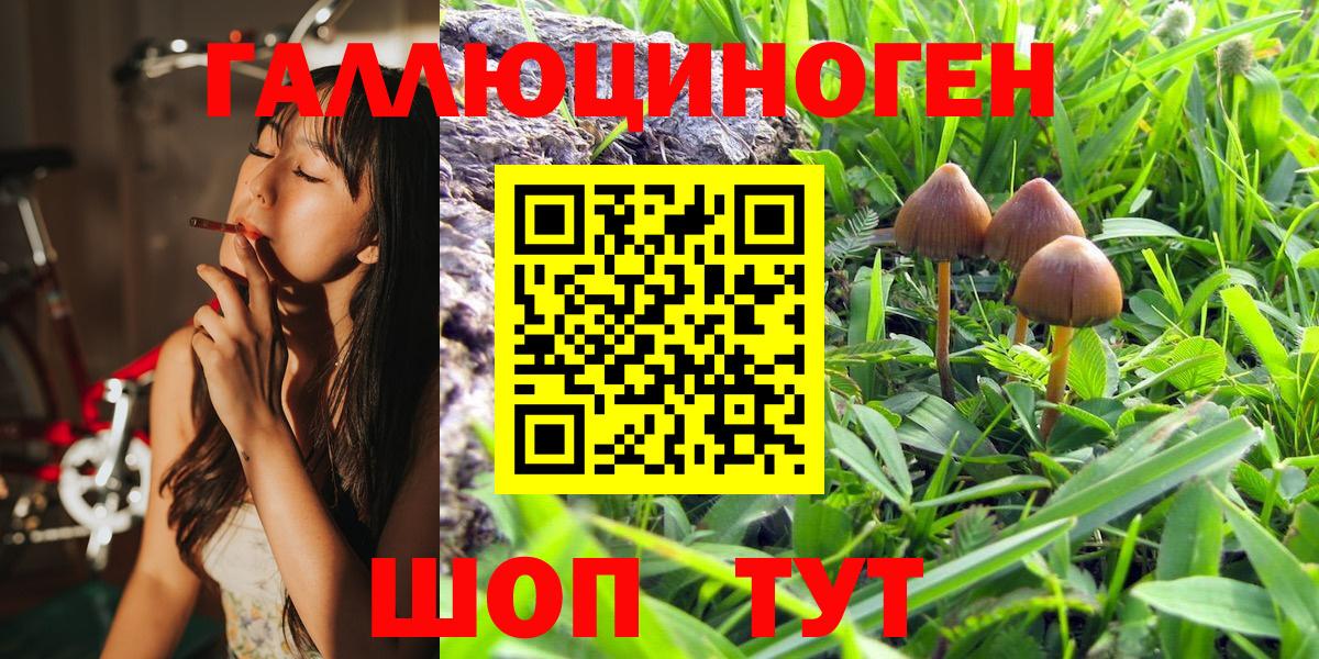 Галлюциногенные грибы Magic Shrooms  Псилоцибиновые грибы MAGIC MUSHROOMS  Воркута  Вход с VPN 