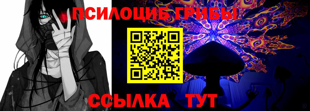 Псилоцибиновые грибы Psilocybe Воркута